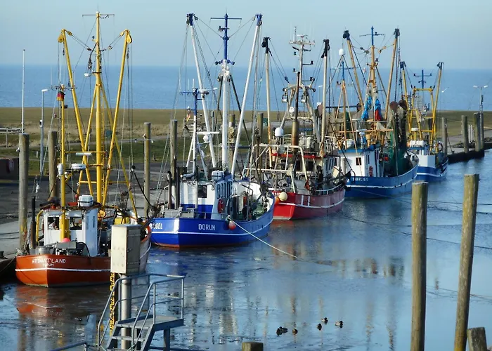 בית נופש Nordsee Diemel Wurster Nordseekuste